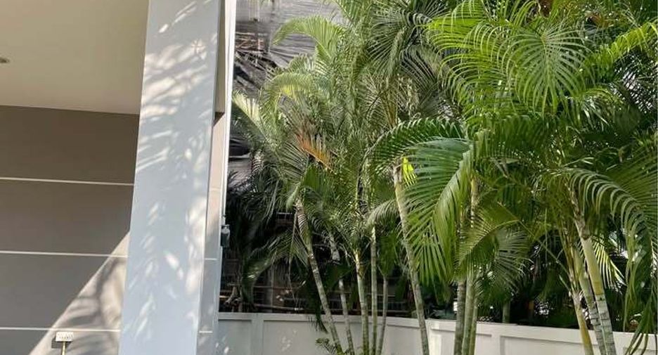 For rent 3 bedrooms house in San Sai, Chiang Mai