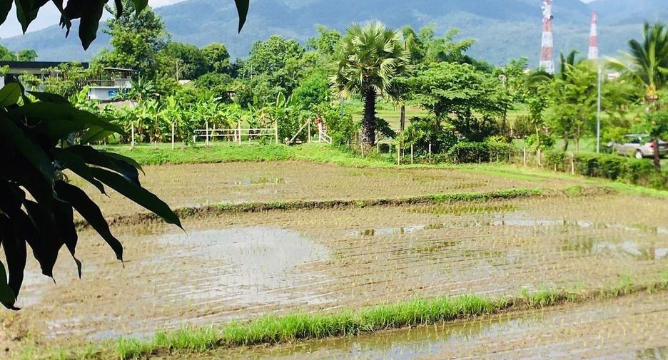 For sale and for rent 5 bedrooms villa in Mae Rim, Chiang Mai