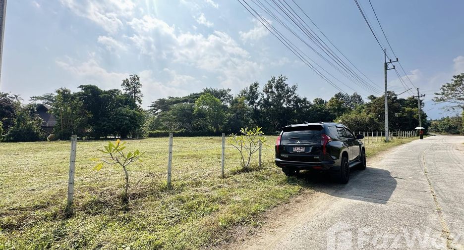 For sale land in Mae Rim, Chiang Mai
