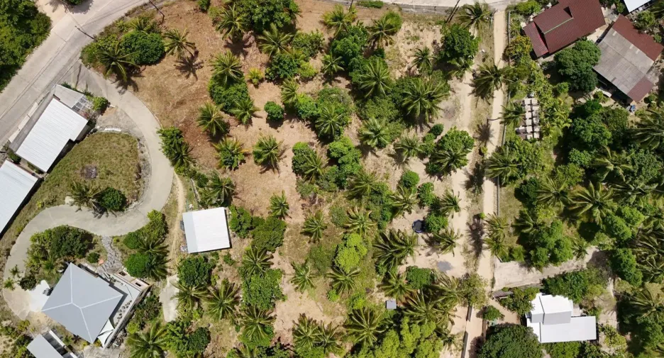 For sale land in Ko Pha-ngan, Surat Thani