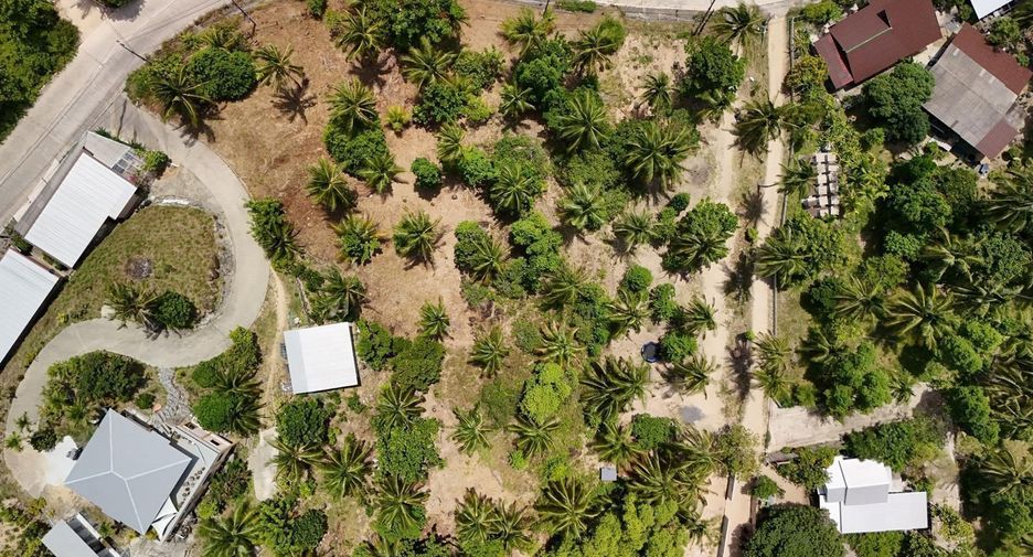 For sale land in Ko Pha-ngan, Surat Thani