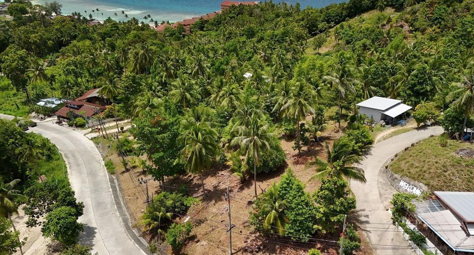 For sale land in Ko Pha-ngan, Surat Thani