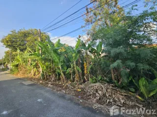 For sale land in Thawi Watthana, Bangkok
