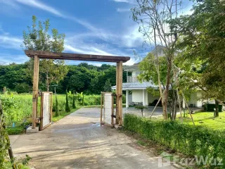 For sale 4 bedrooms house in San Sai, Chiang Mai