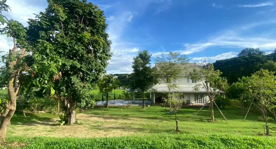 For sale 4 bedrooms house in San Sai, Chiang Mai
