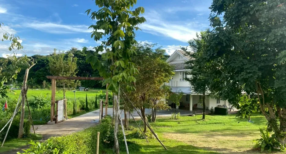 For sale 4 bedrooms house in San Sai, Chiang Mai