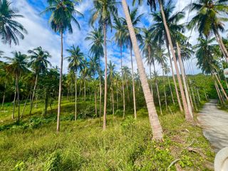 For sale land in Ko Samui, Surat Thani