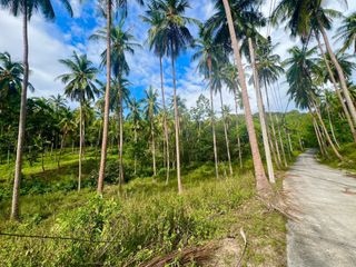 For sale land in Ko Samui, Surat Thani