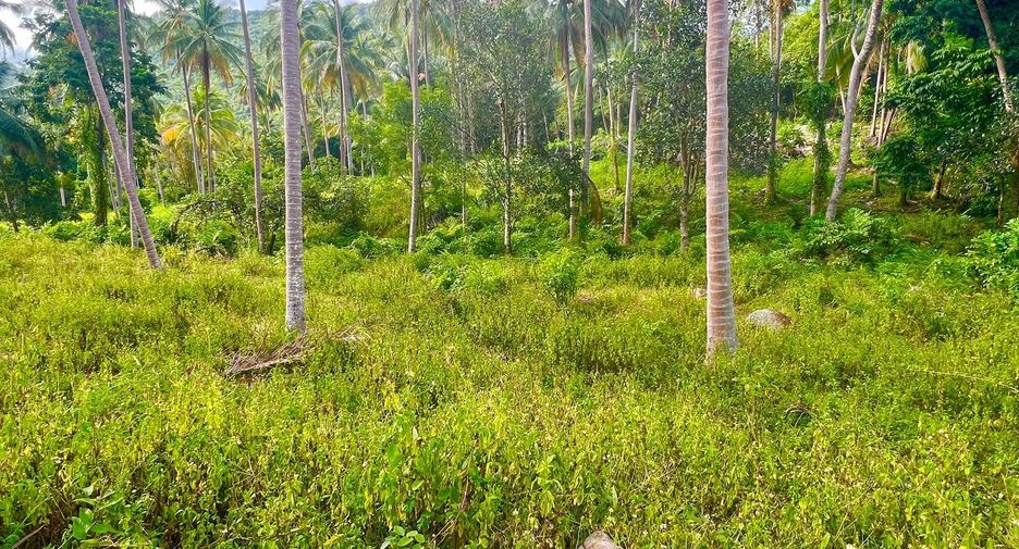 For sale land in Ko Samui, Surat Thani