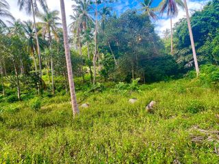 For sale land in Ko Samui, Surat Thani
