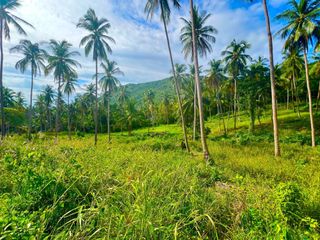For sale land in Ko Samui, Surat Thani