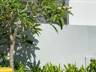 出租 2 卧室 别墅 在 苏梅岛, 素叻