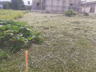 For sale land in Mueang Phuket, Phuket