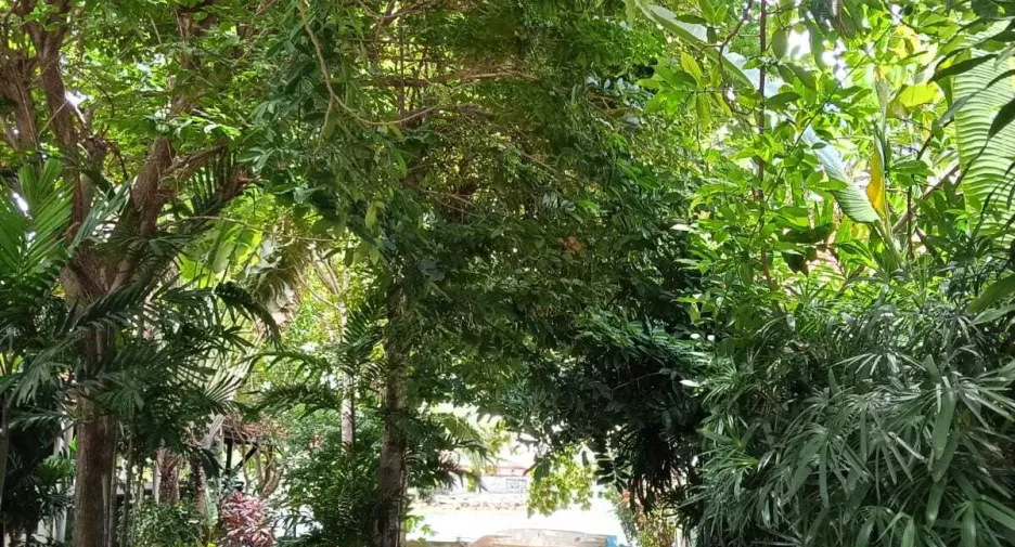 For rent 1 bed house in Ko Samui, Surat Thani