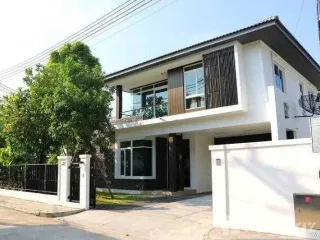 For Rent 4 Bedroom House In Mueang Chiang Mai