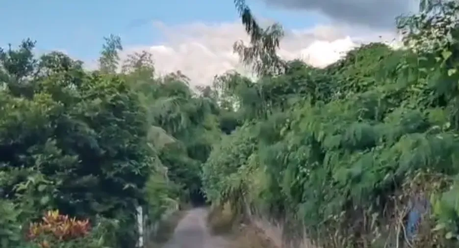 Grundstück zum Kauf in Doi Saket, Chiang Mai