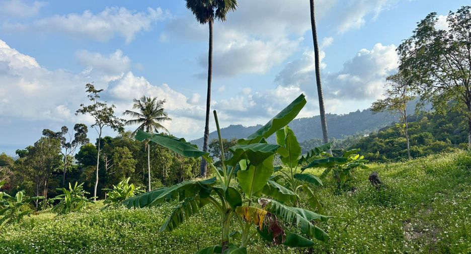 Grundstück zum Kauf in Ko Samui, Surat Thani