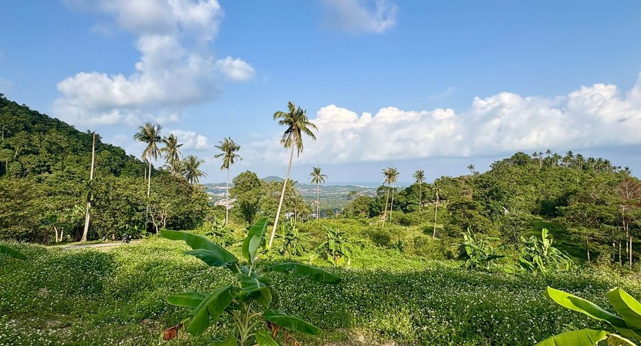 Grundstück zum Kauf in Ko Samui, Surat Thani