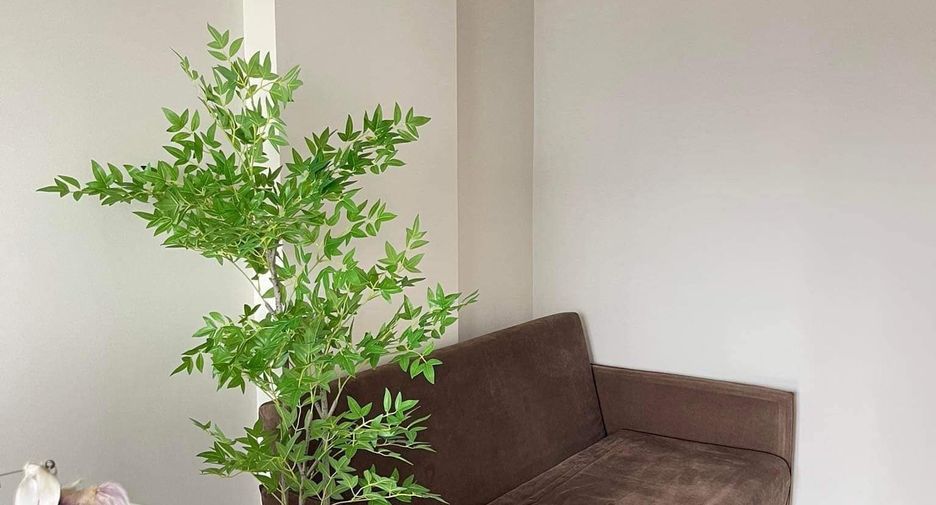 Condo en alquiler de 1 habitaciones en Kathu, Phuket