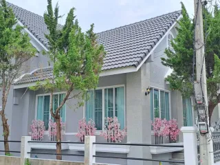 À vendre et à louer 3 chambres maison à San Sai, Chiang Mai