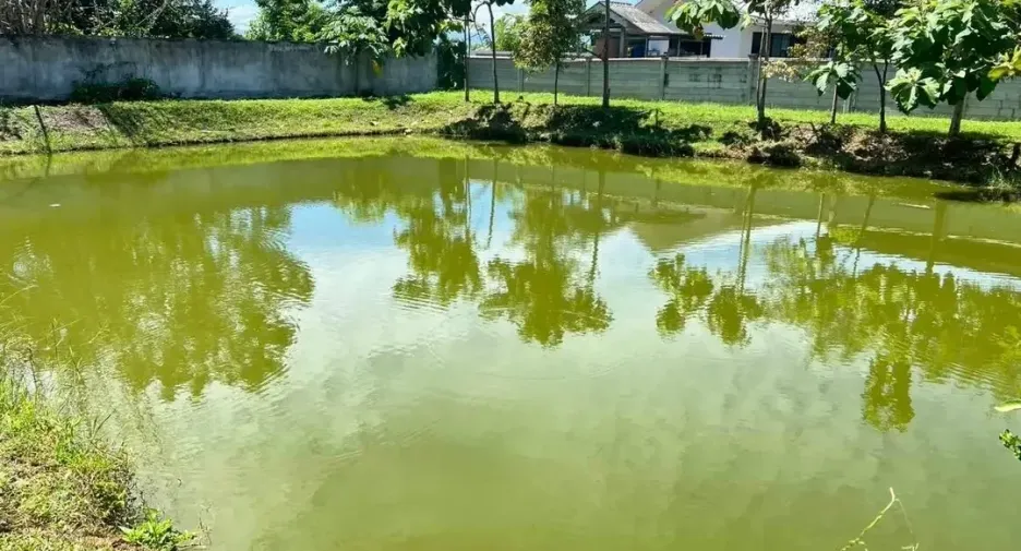 出售 5 卧室 别墅 在 San Kamphaeng, Chiang Mai