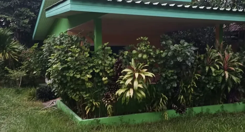 For sale 11 bedrooms hotel in Ko Samui, Surat Thani