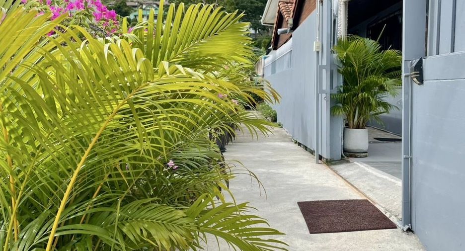 For rent 4 bedrooms villa in Ko Samui, Surat Thani