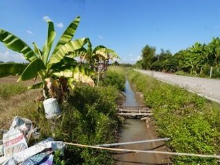Продажа Участок в Мае Рим, Чианг Маи