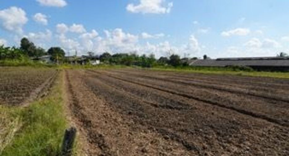 Продажа Участок в Мае Рим, Чианг Маи