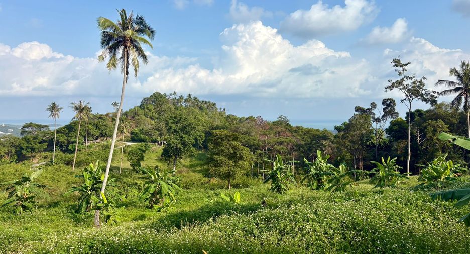 For sale land in Ko Samui, Surat Thani