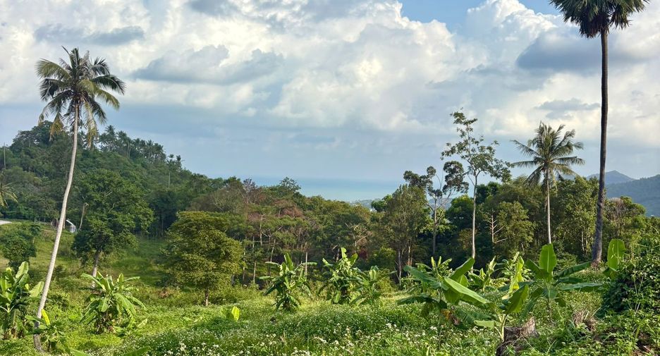 For sale land in Ko Samui, Surat Thani