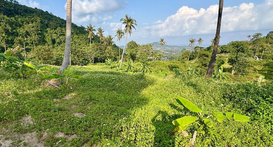 For sale land in Ko Samui, Surat Thani