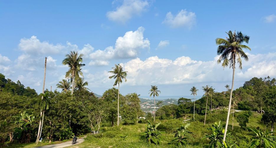 For sale land in Ko Samui, Surat Thani
