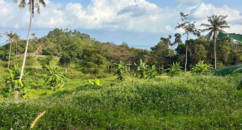 For sale land in Ko Samui, Surat Thani