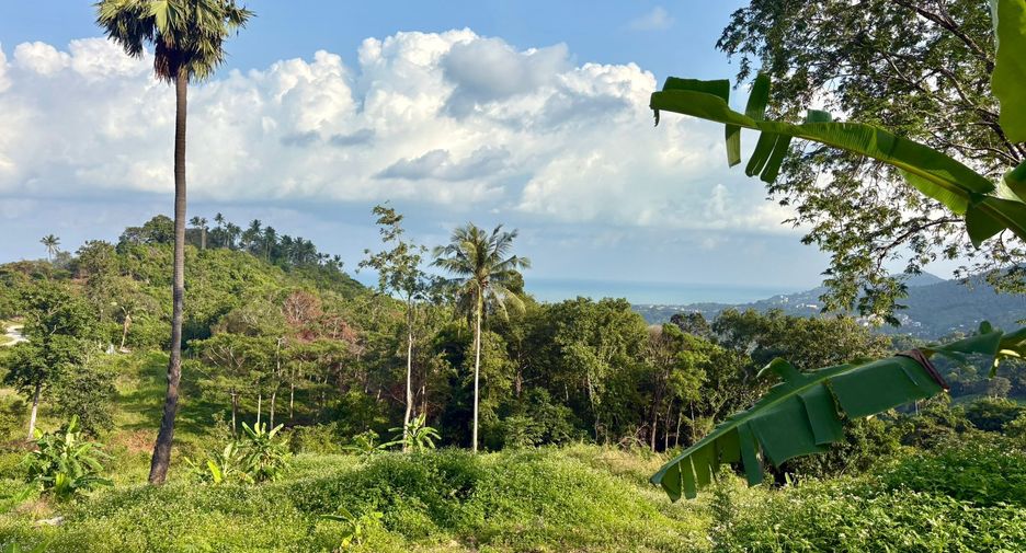 For sale land in Ko Samui, Surat Thani