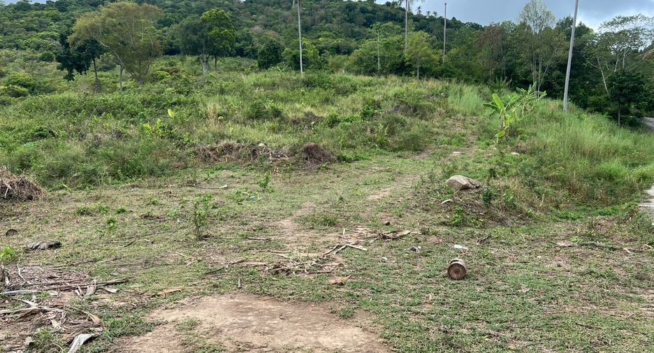 For sale land in Ko Samui, Surat Thani