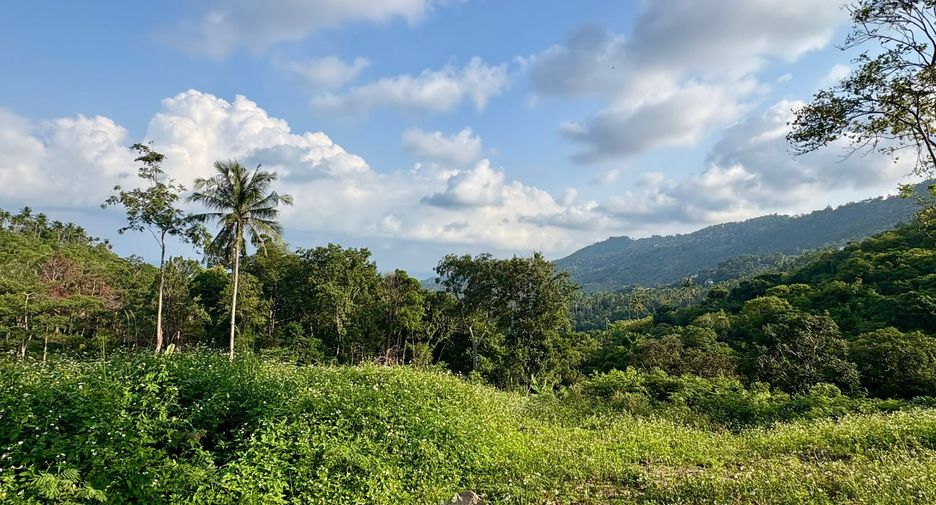 For sale land in Ko Samui, Surat Thani