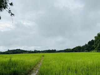 For sale land in Mae On, Chiang Mai