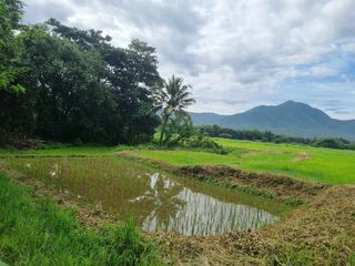 For sale land in Mae On, Chiang Mai