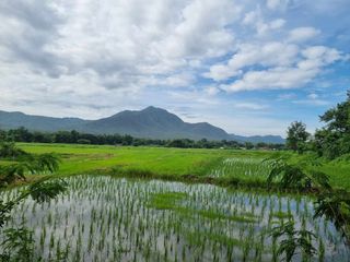 For sale land in Mae On, Chiang Mai