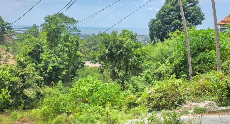Grundstück zum Kauf in Ko Samui, Surat Thani