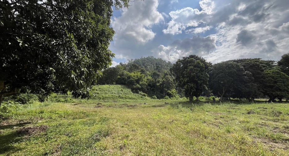For sale land in Samoeng, Chiang Mai