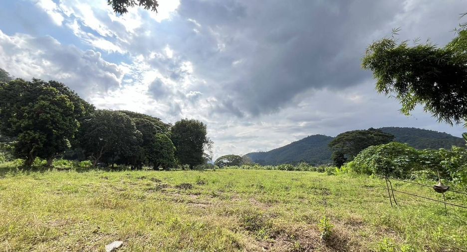 For sale land in Samoeng, Chiang Mai