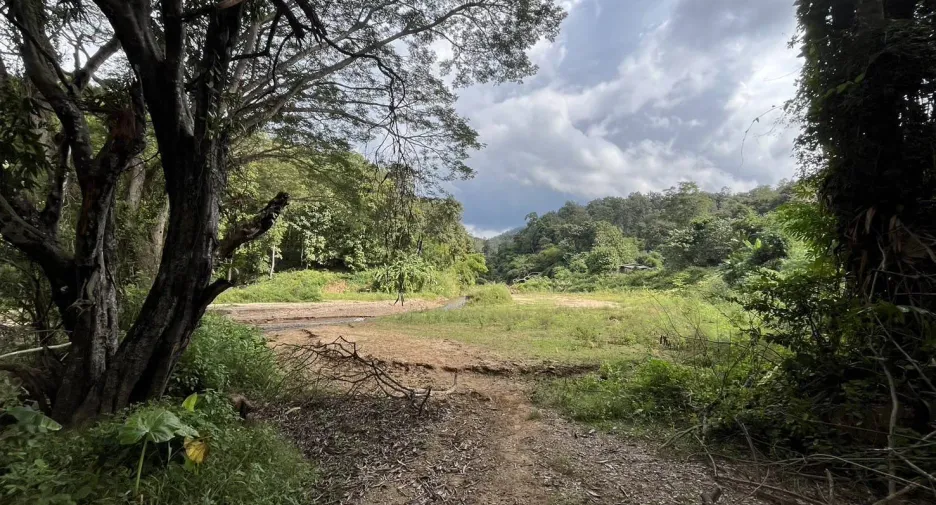 For sale land in Samoeng, Chiang Mai