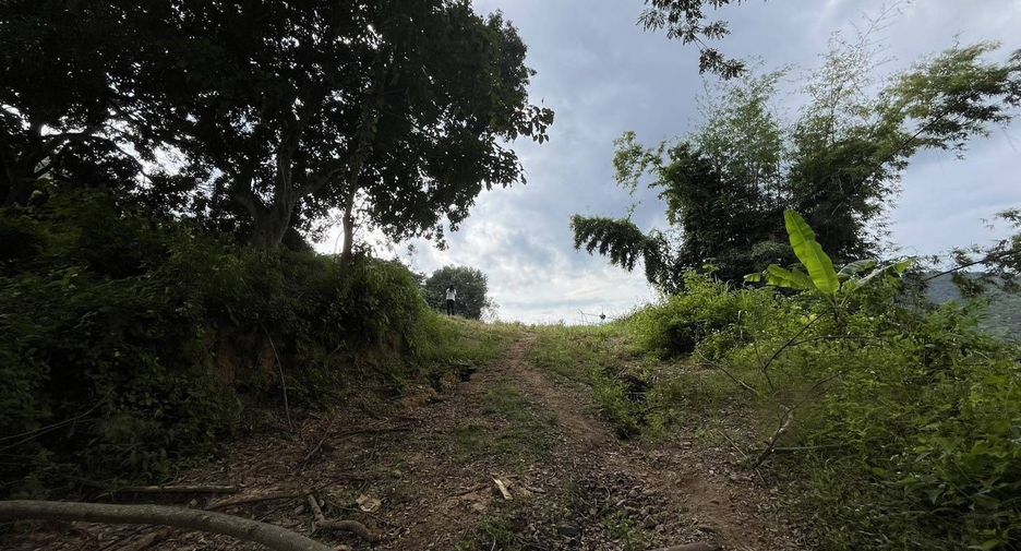 For sale land in Samoeng, Chiang Mai