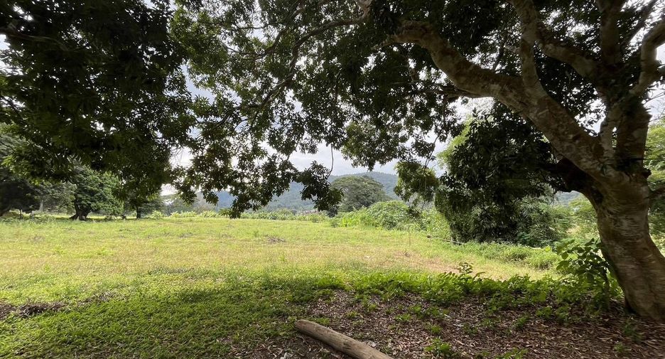 For sale land in Samoeng, Chiang Mai