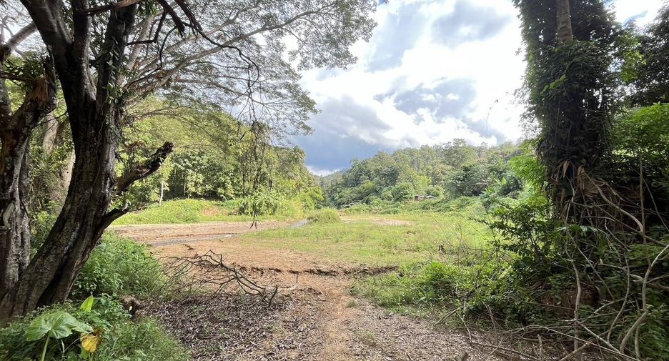 For sale land in Samoeng, Chiang Mai