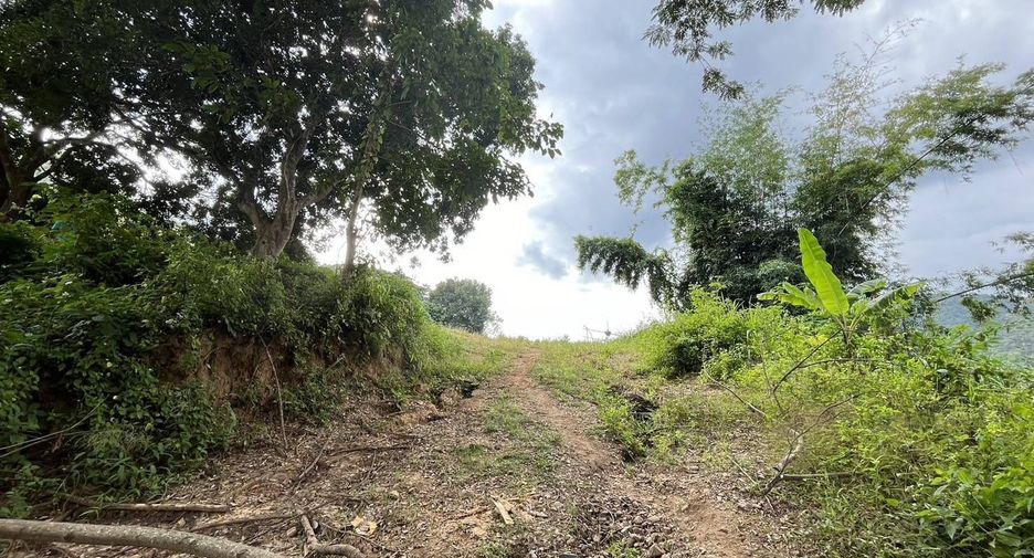 For sale land in Samoeng, Chiang Mai