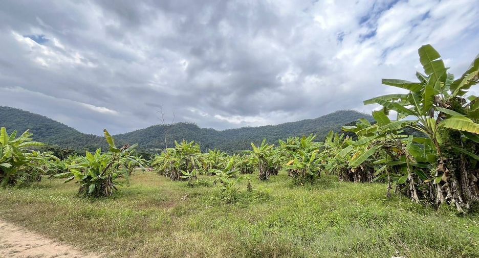 For sale land in Samoeng, Chiang Mai
