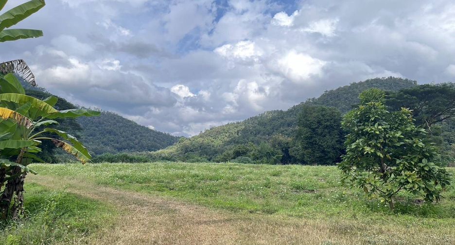 For sale land in Samoeng, Chiang Mai